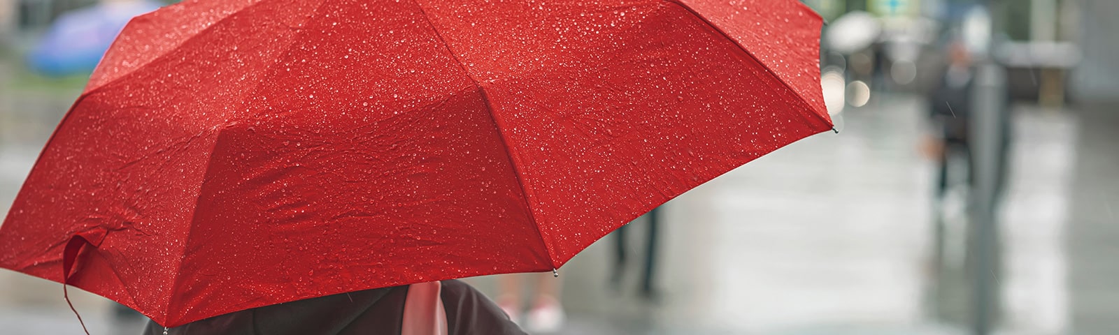 Umbrella Insurance